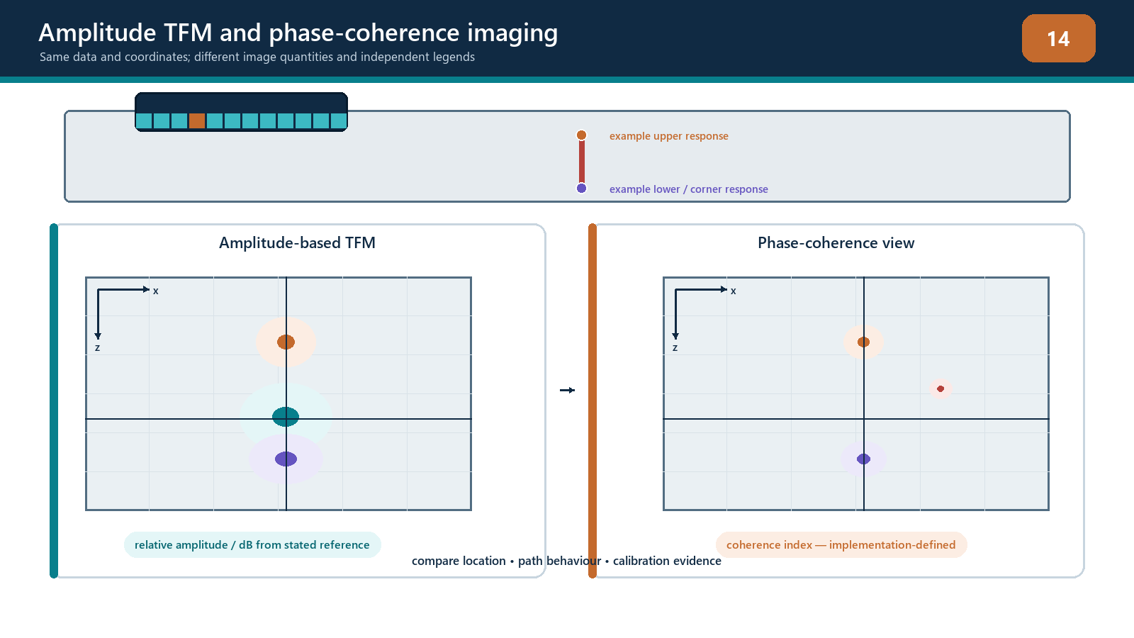 Amplitude TFM and phase-coherence imaging provide complementary, non-interchangeable evidence.